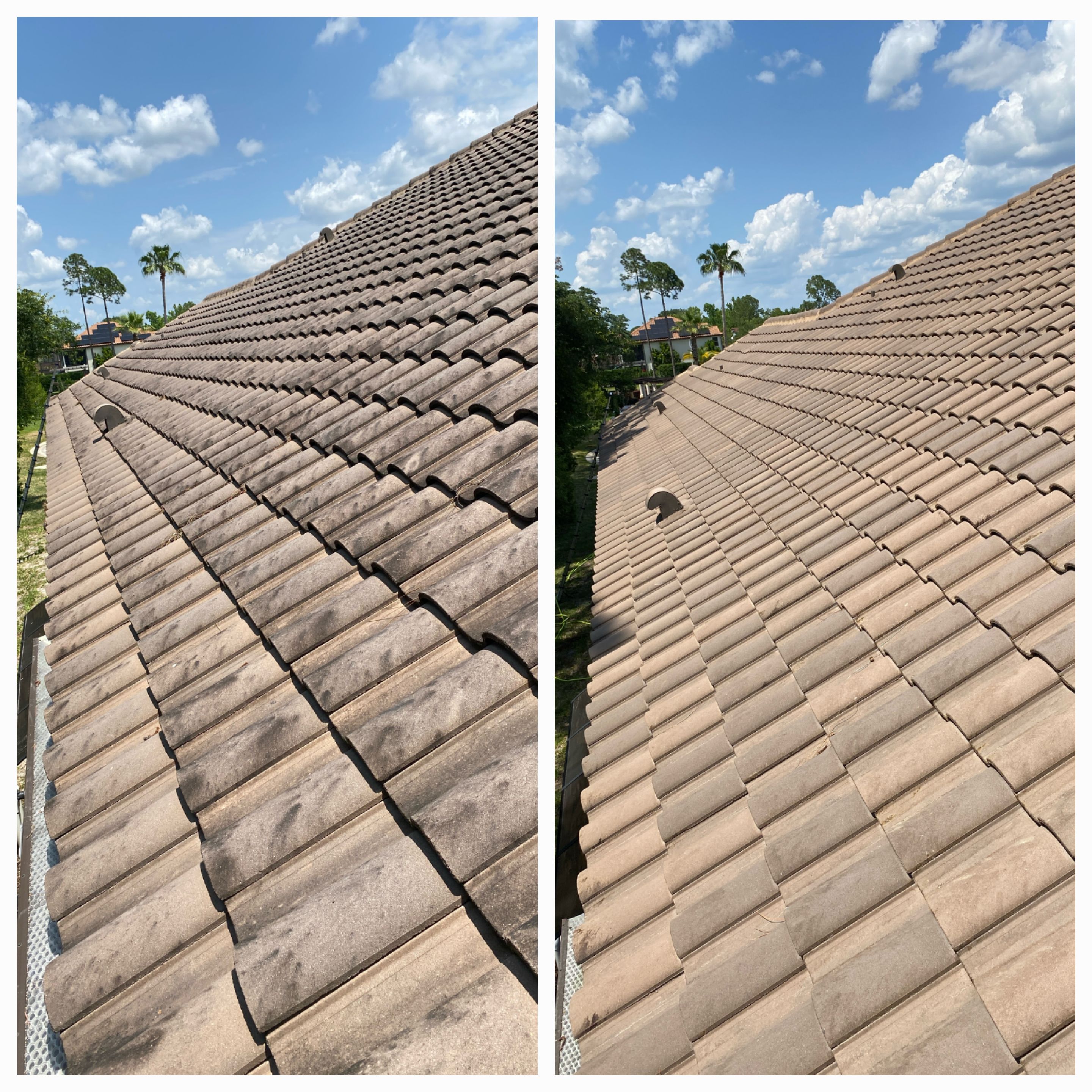 Professional Tile Roof Cleaning in DeBary, FL